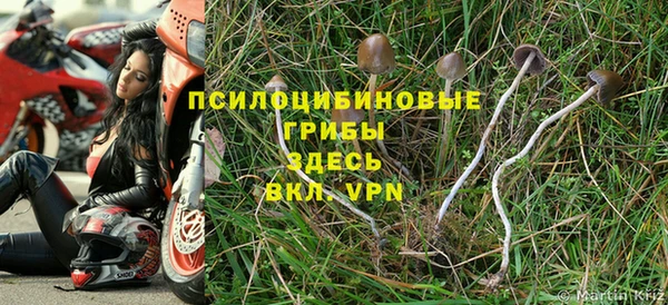прущие крисы Кадников