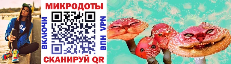 Псилоцибиновые грибы MAGIC MUSHROOMS  магазин  наркотиков  Большой Камень 