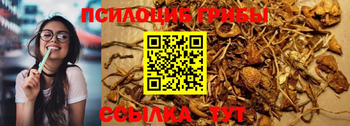 Галлюциногенные грибы Magic Shrooms Большой Камень