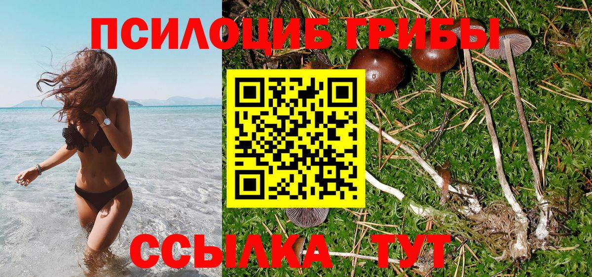 Галлюциногенные грибы мицелий  Большой Камень  Галлюциногенные грибы Cubensis 