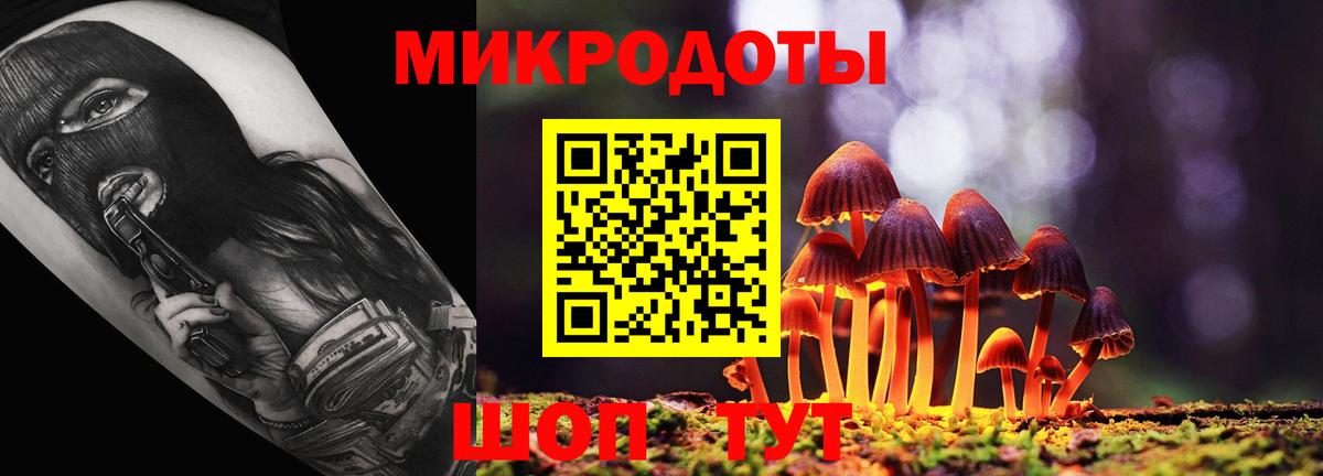 Галлюциногенные грибы Psilocybine cubensis Большой Камень